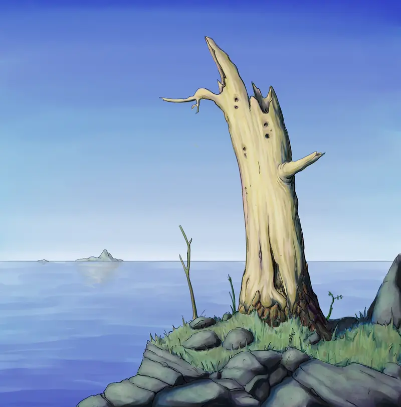 A dead tree on a rocky shore