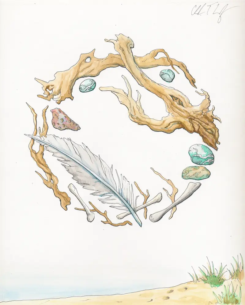 A ring of driftwood, feathers and stones above a beach